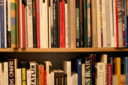 A bookshelf containing two rows of books.