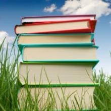 decorative image of colourful stack of books in graww with blue sky