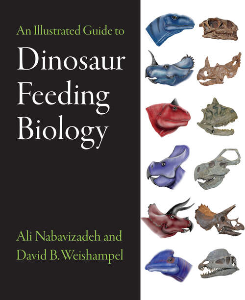 Book cover of An Illustrated Guide to Dinosaur Feeding Biology