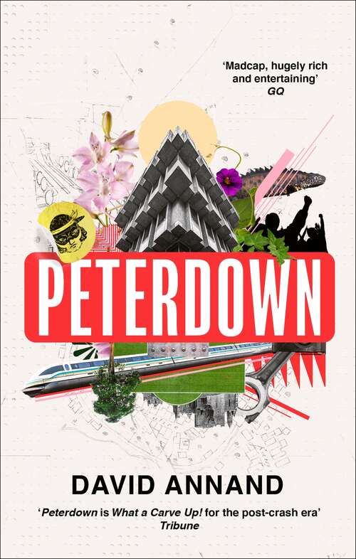 Book cover of Peterdown: An epic social satire, full of comedy, character and anarchic radicalism