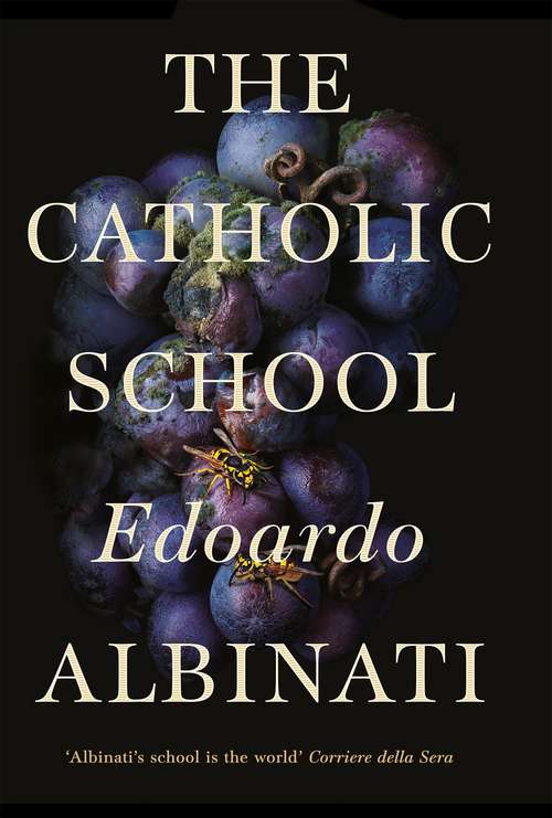 Book cover of The Catholic School: A Novel