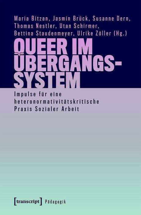 Book cover of Queer im Übergangssystem: Impulse für eine heteronormativitätskritische Praxis Sozialer Arbeit (Pädagogik)