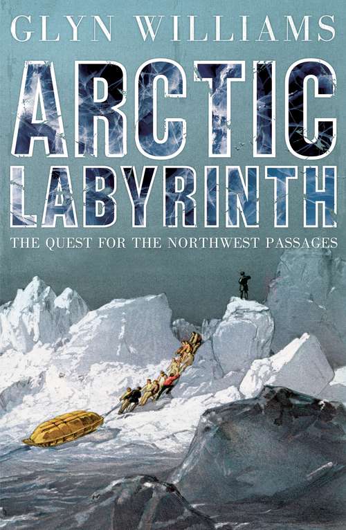 Book cover of Arctic Labyrinth: The Quest for the Northwest Passage