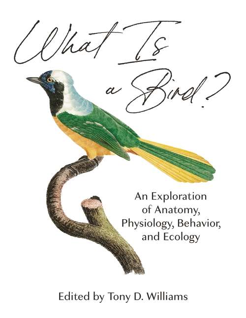 Book cover of What Is a Bird?: An Exploration of Anatomy, Physiology, Behavior, and Ecology