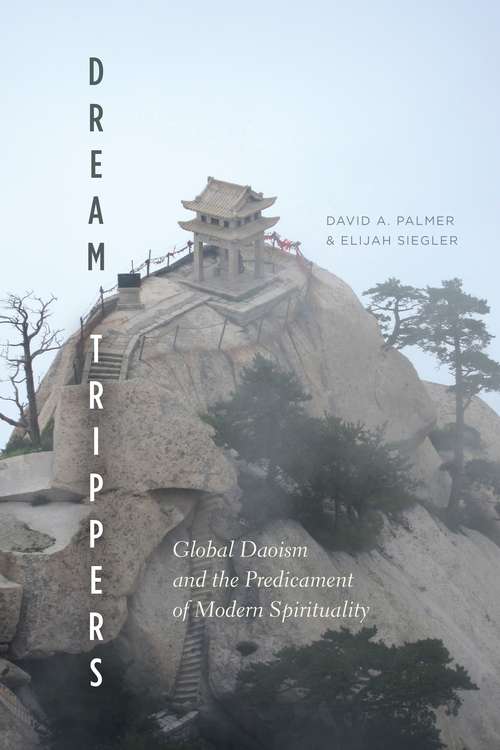 Book cover of Dream Trippers: Global Daoism and the Predicament of Modern Spirituality