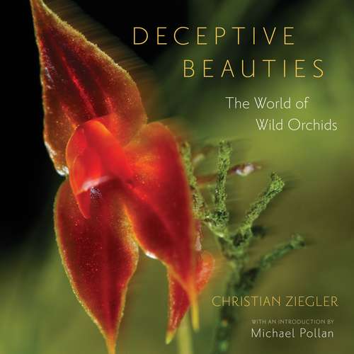 Book cover of Deceptive Beauties: The World of Wild Orchids
