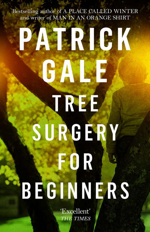 Book cover of Tree Surgery for Beginners: A Novel