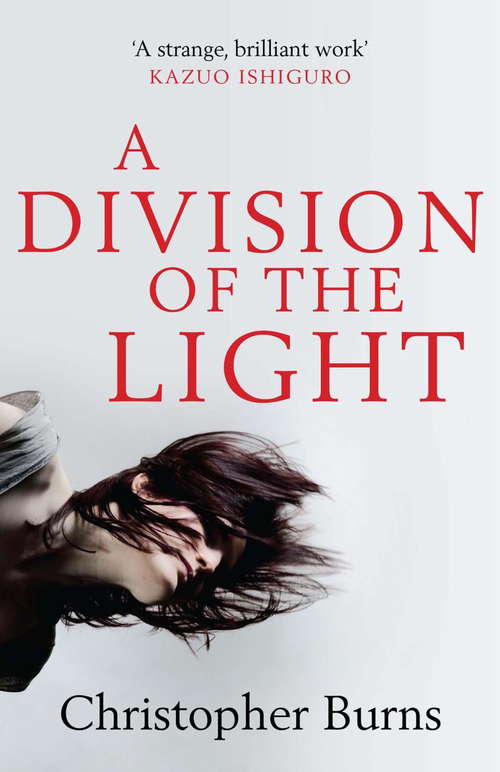 Book cover of A Division of the Light