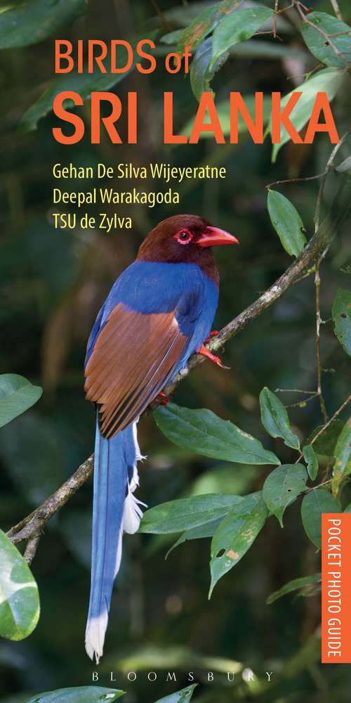Book cover of Birds of Sri Lanka (Pocket Photo Guides)
