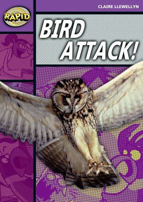 Book cover of Rapid, Series 2, Stage 1, Set B: Bird Attack!