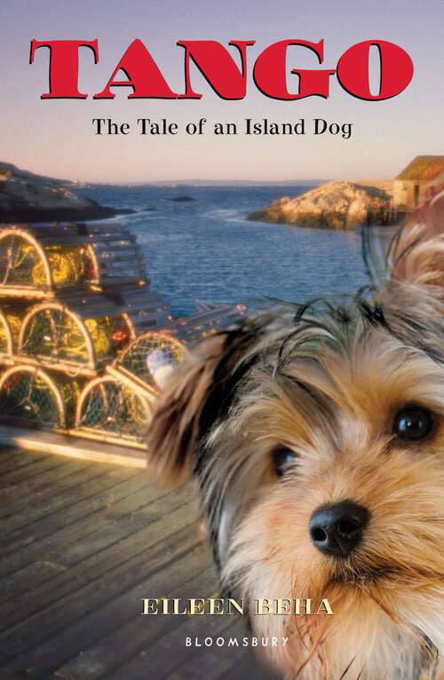 Book cover of Tango: The Tale of an Island Dog