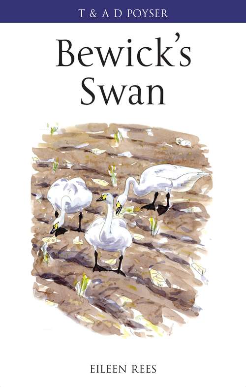 Book cover of Bewick's Swan (Poyser Monographs)