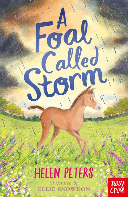Book cover of A Foal Called Storm (The Jasmine Green Series #11)