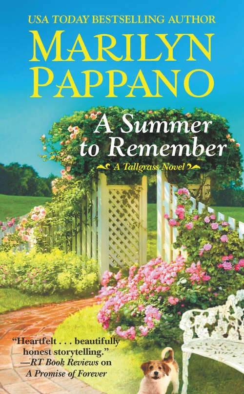 Book cover of A Summer to Remember (A Tallgrass Novel #6)