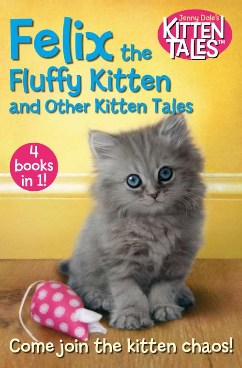 Book cover of Felix the Fluffy Kitten and Other Kitten Tales (Jenny Dale’s Animal Tales #3)