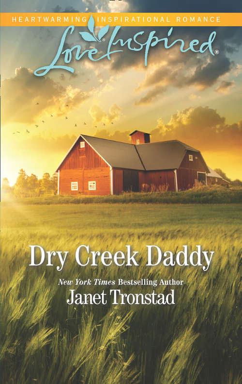 Book cover of Dry Creek Daddy: Runaway Amish Bride Dry Creek Daddy A Baby For The Minister (ePub edition) (Dry Creek #18)