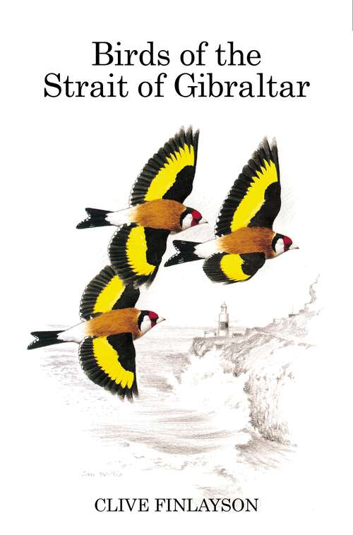 Book cover of Birds of the Strait of Gibraltar (Poyser Monographs)