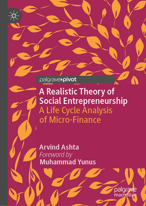 Book cover of A Realistic Theory of Social Entrepreneurship: A Life Cycle Analysis of Micro-Finance (1st ed. 2020)