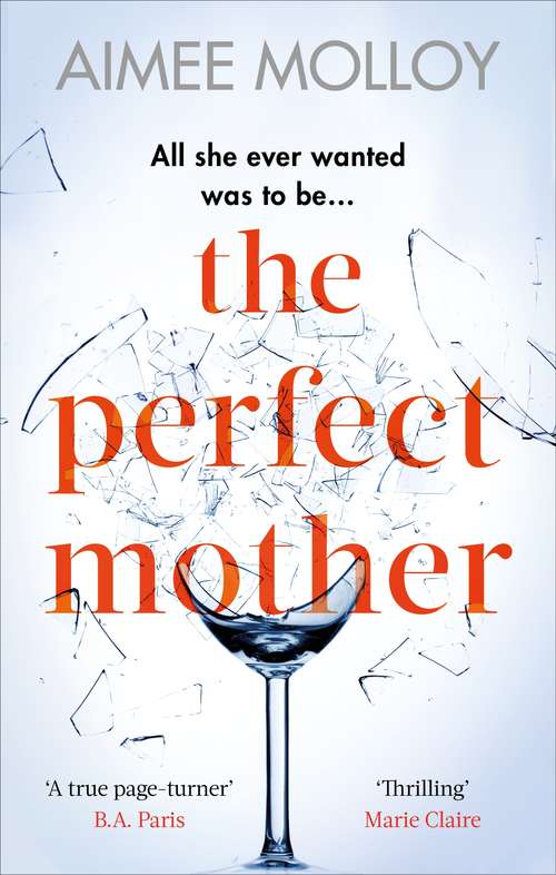 Book cover of The Perfect Mother: A gripping thriller with a nail-biting twist