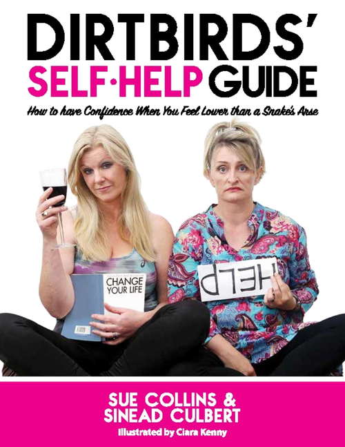 Book cover of DirtBirds' Self-Help Guide: How to Have Confidence When You Feel Lower than a Snake's Arse