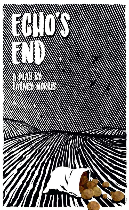 Book cover of Echo's End