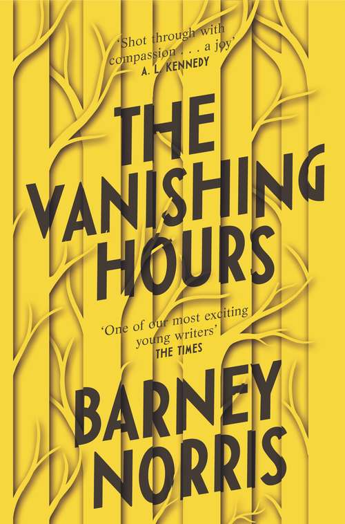 Book cover of The Vanishing Hours