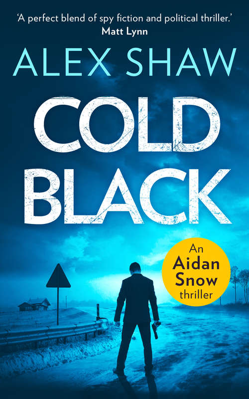 Book cover of Cold Black: Hetman 2 (ePub edition) (An Aidan Snow SAS Thriller #2)