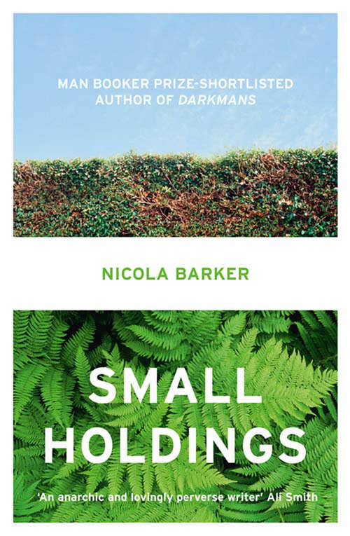 Book cover of Small Holdings (ePub edition)