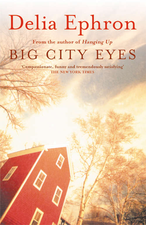 Book cover of Big City Eyes (ePub edition) (Thorndike Americana Ser.)