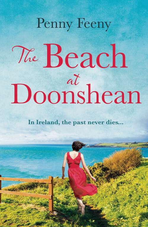 Book cover of The Beach at Doonshean