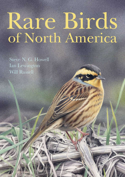 Book cover of Rare Birds of North America