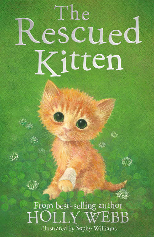 Book cover of The Rescued Kitten (Holly Webb Animal Stories #39)