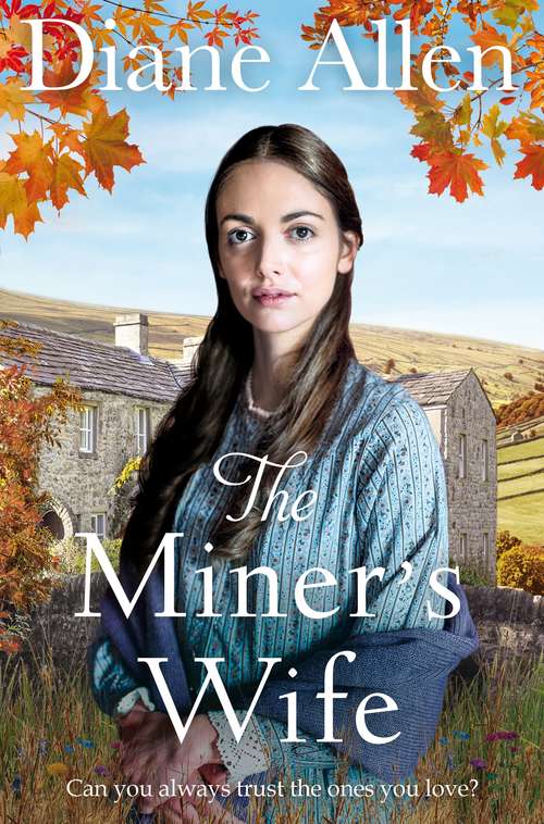 Book cover of The Miner's Wife