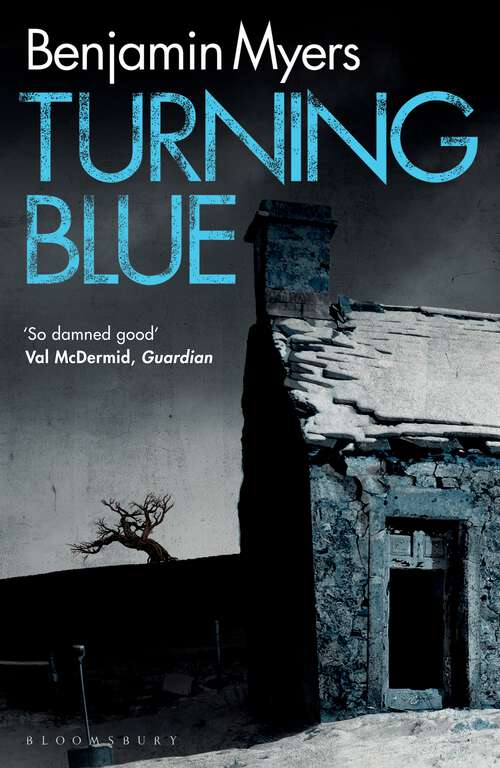 Book cover of Turning Blue