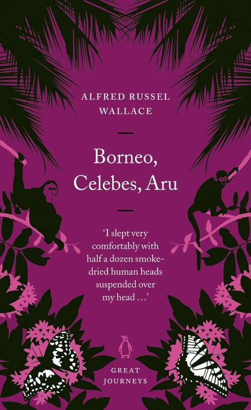Book cover of Borneo, Celebes, Aru