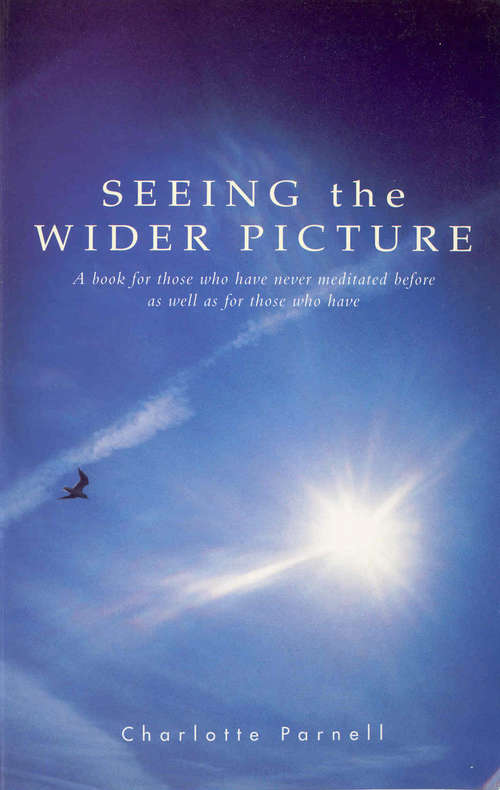 Book cover of Seeing The Wider Picture