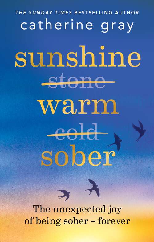 Book cover of Sunshine Warm Sober: Unexpected sober joy that lasts (The Unexpected Joy #5)