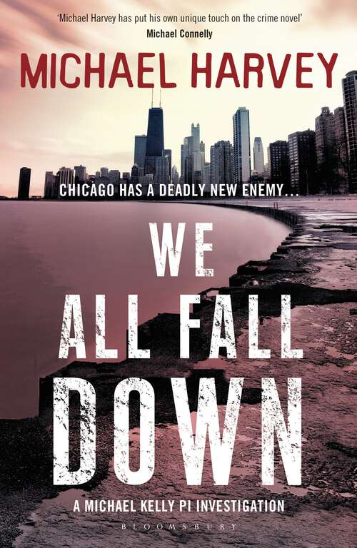 Book cover of We All Fall Down (A Michael Kelly PI Investigation)