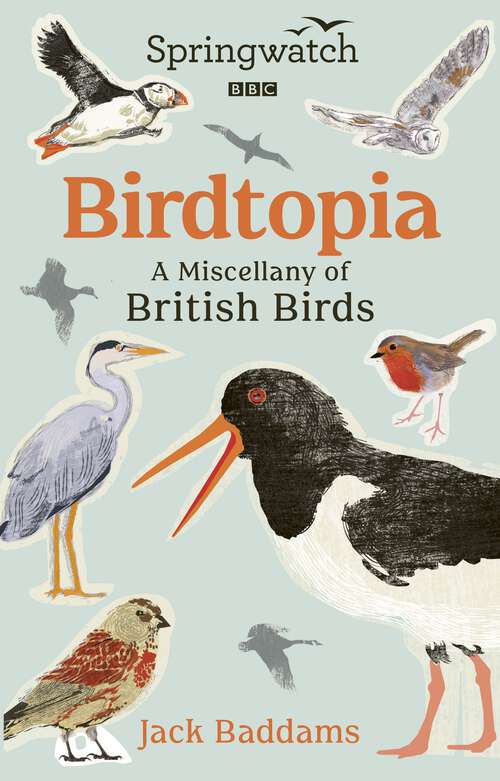 Book cover of Springwatch: Birdtopia