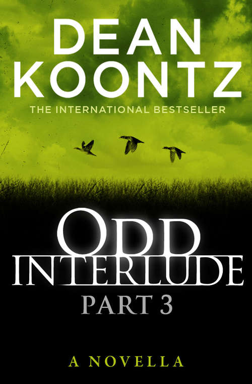 Book cover of Odd Interlude Part Three (ePub edition)