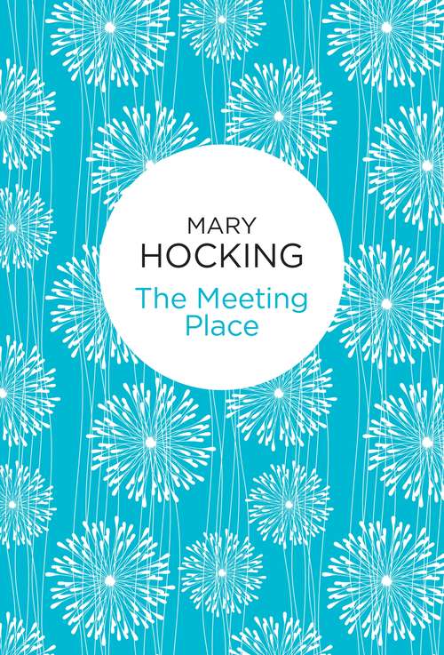 Book cover of The Meeting Place