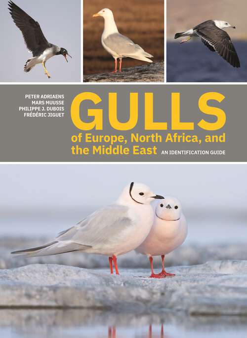 Book cover of Gulls of Europe, North Africa, and the Middle East: An Identification Guide
