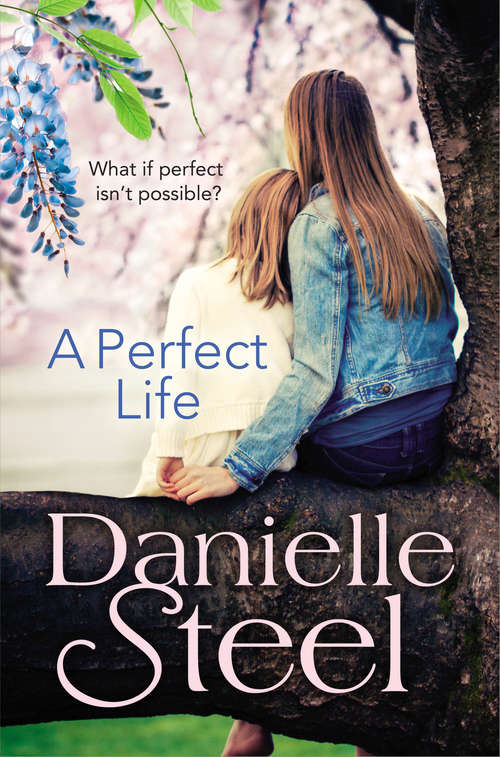 Book cover of A Perfect Life: A Novel
