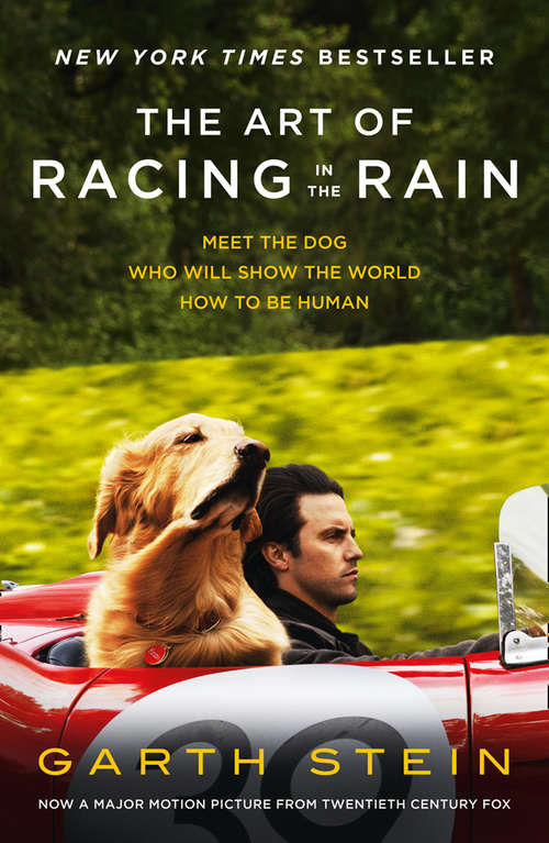 Book cover of The Art of Racing in the Rain (ePub edition)