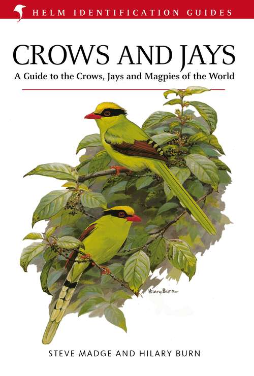 Book cover of Crows and Jays (Helm Identification Guides)