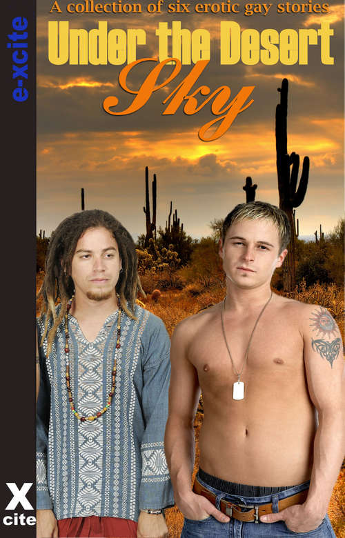 Book cover of Under the Desert Sky: Gay erotic fiction