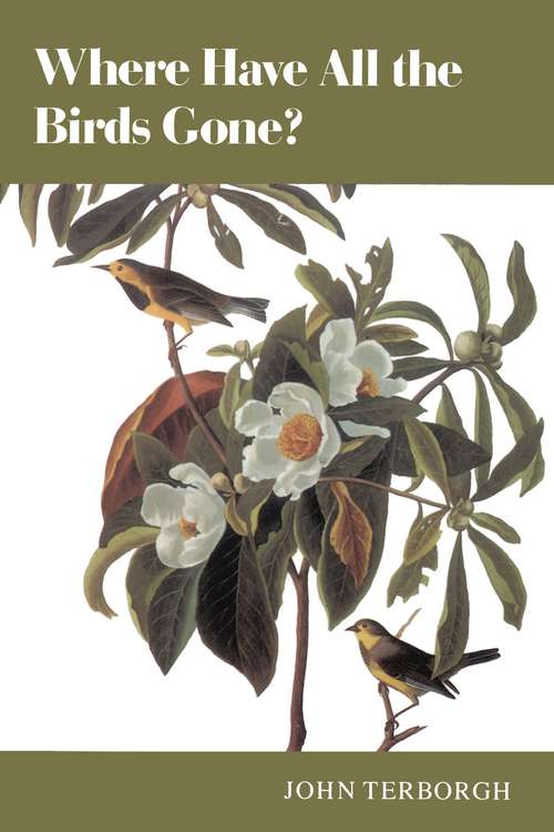 Book cover of Where Have All the Birds Gone?: Essays on the Biology and Conservation of Birds That Migrate to the American Tropics