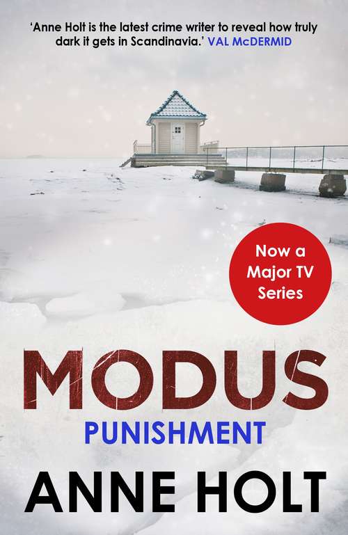 Book cover of Punishment (Main) (MODUS)
