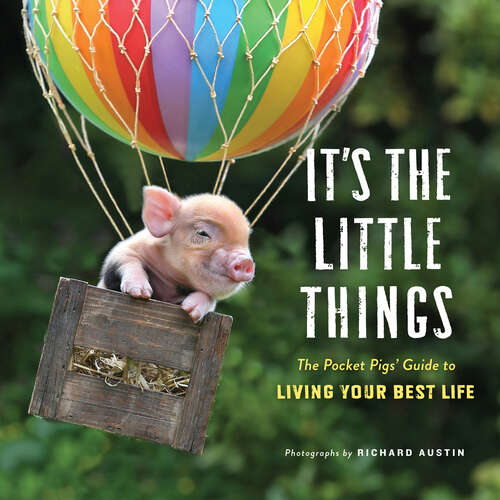 Book cover of It's the Little Things: The Pocket Pigs' Guide to Living Your Best Life (Inspiration Book, Gift Book, Life Lessons, Mini Pigs)