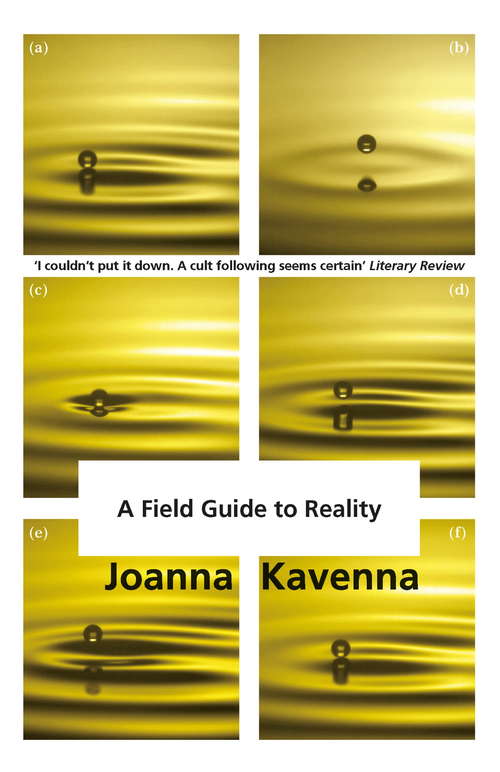 Book cover of A Field Guide to Reality